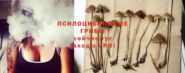 дживик Абинск