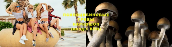ешки Абаза
