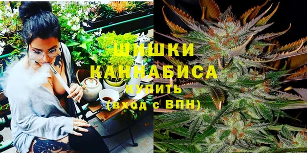 дживик Абинск