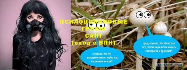 ешки Абаза