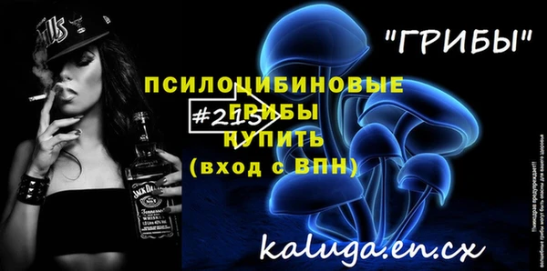 дживик Абинск
